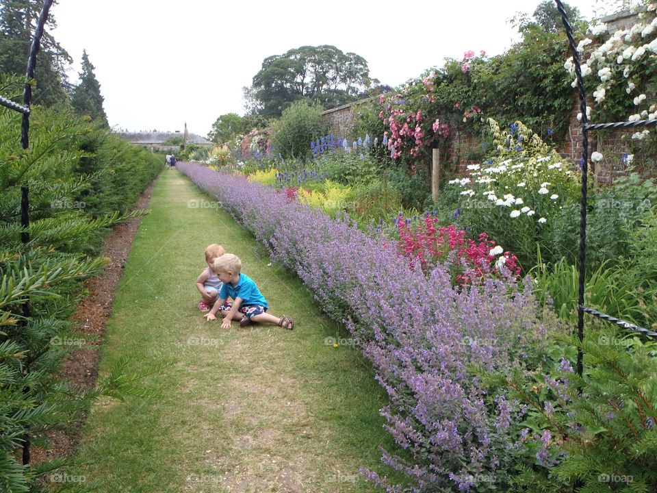 Oxburgh wall gardening Norfolk uk 
