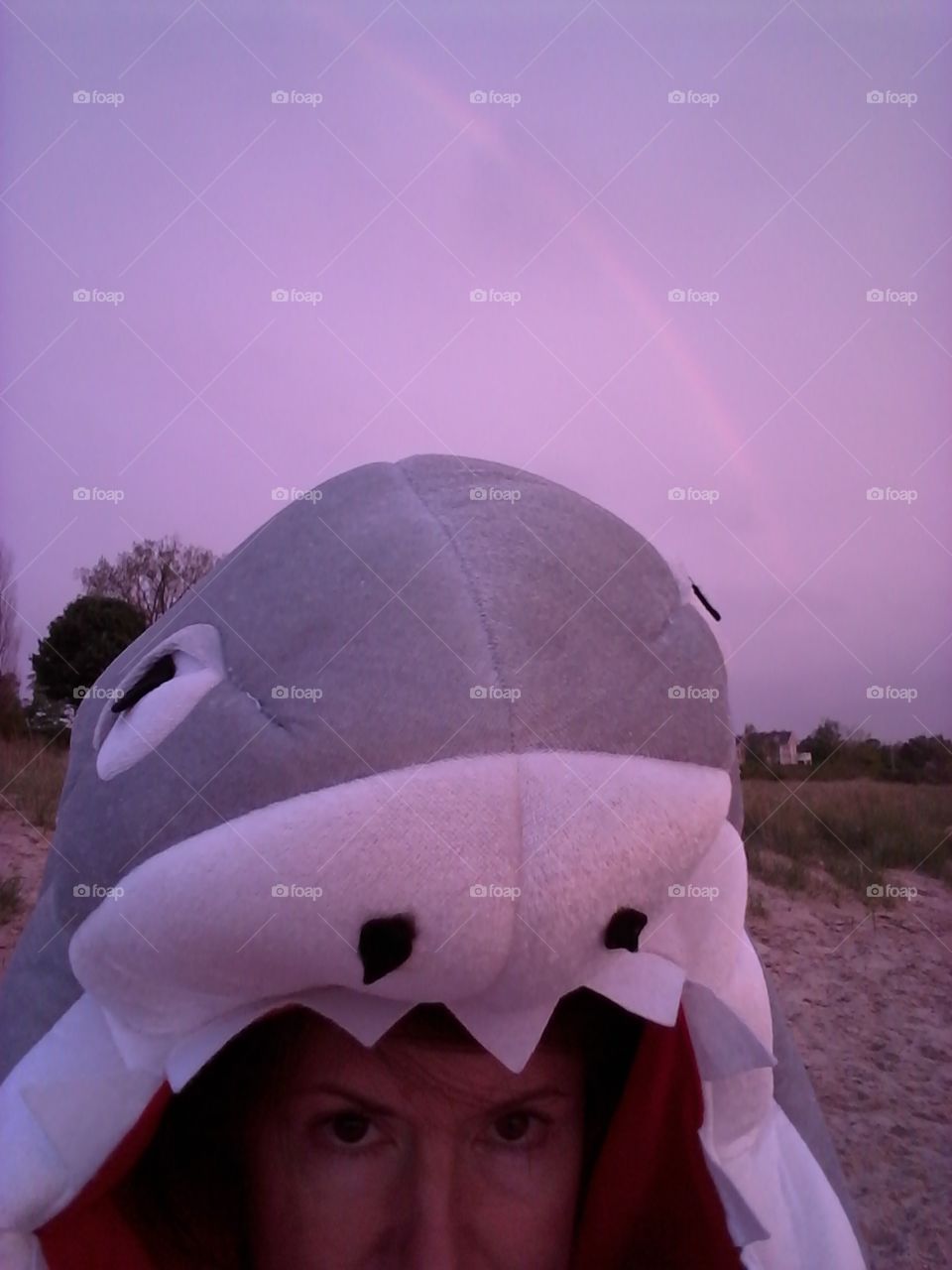 Shark under the Rainbow