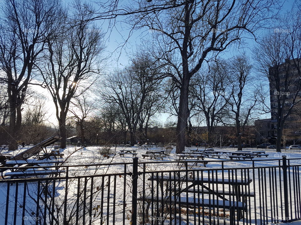 Picnic area in a park with snow by a automnal day