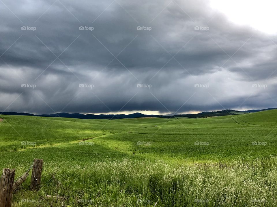Gray sky over the countryside