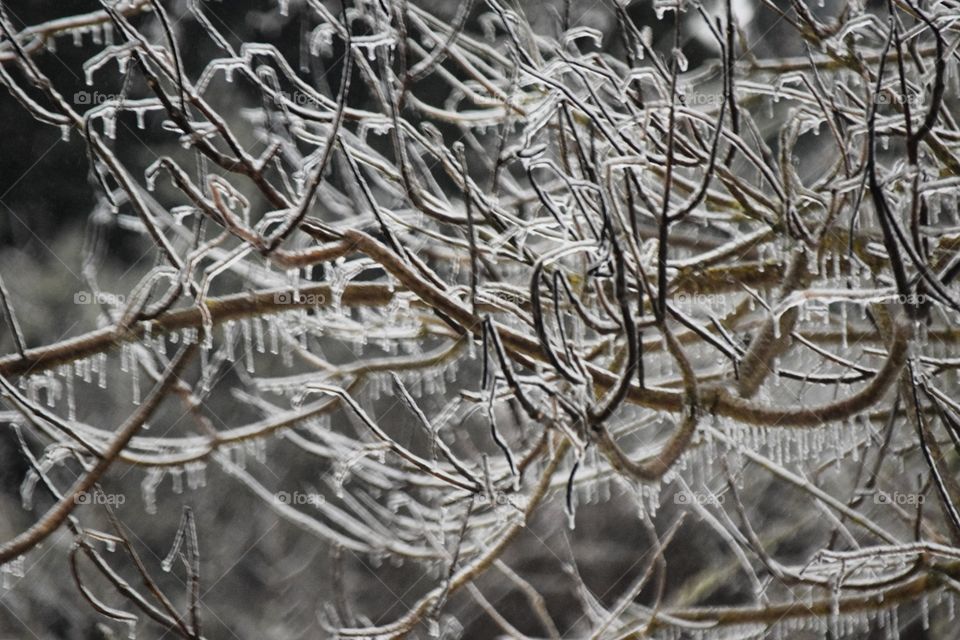 ice storm