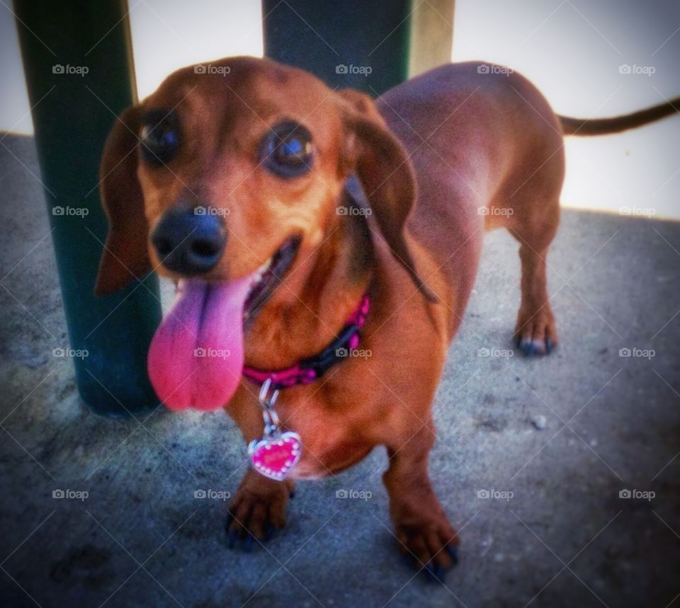 Look at those eyes!...