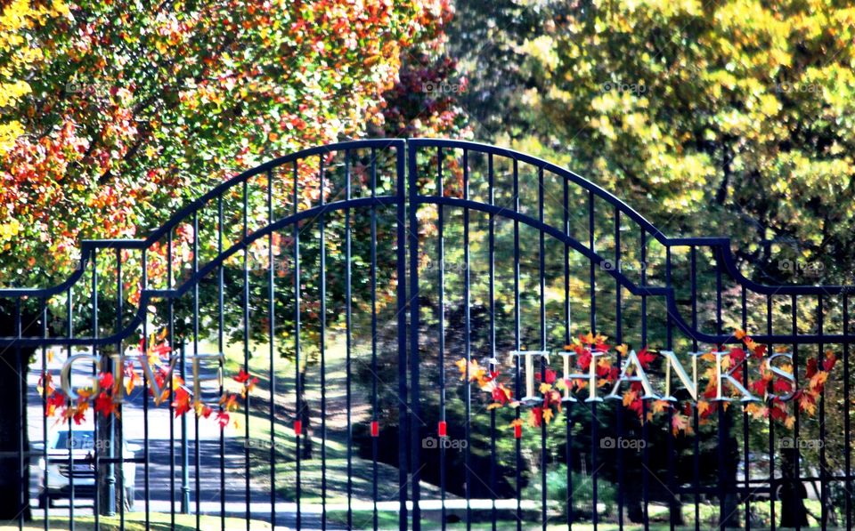 Ornate Gate in Fall