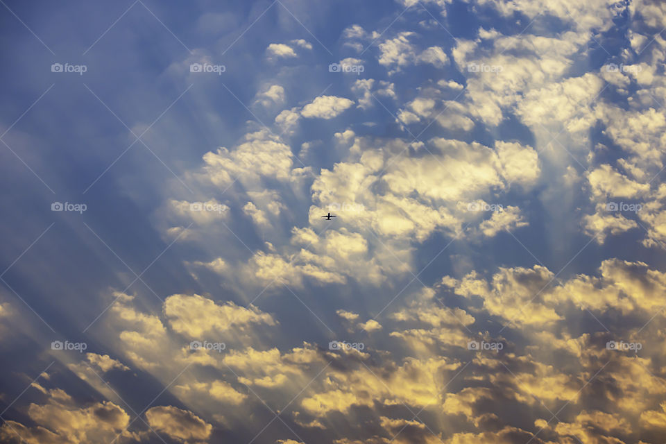 The golden light of the sun and the plane in the sky.