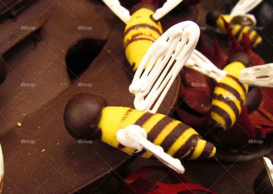 chocolate bee