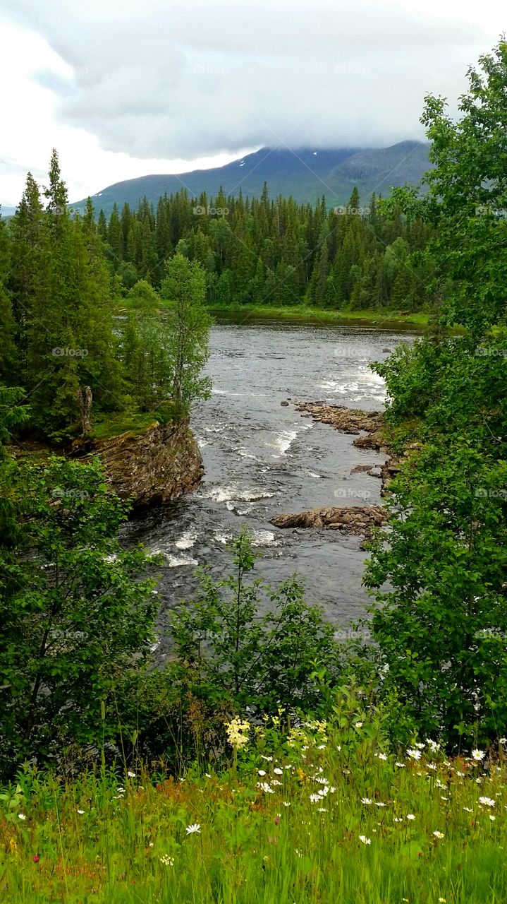 Water idyllic