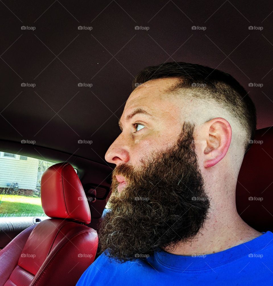 Fresh fade and beard trim!