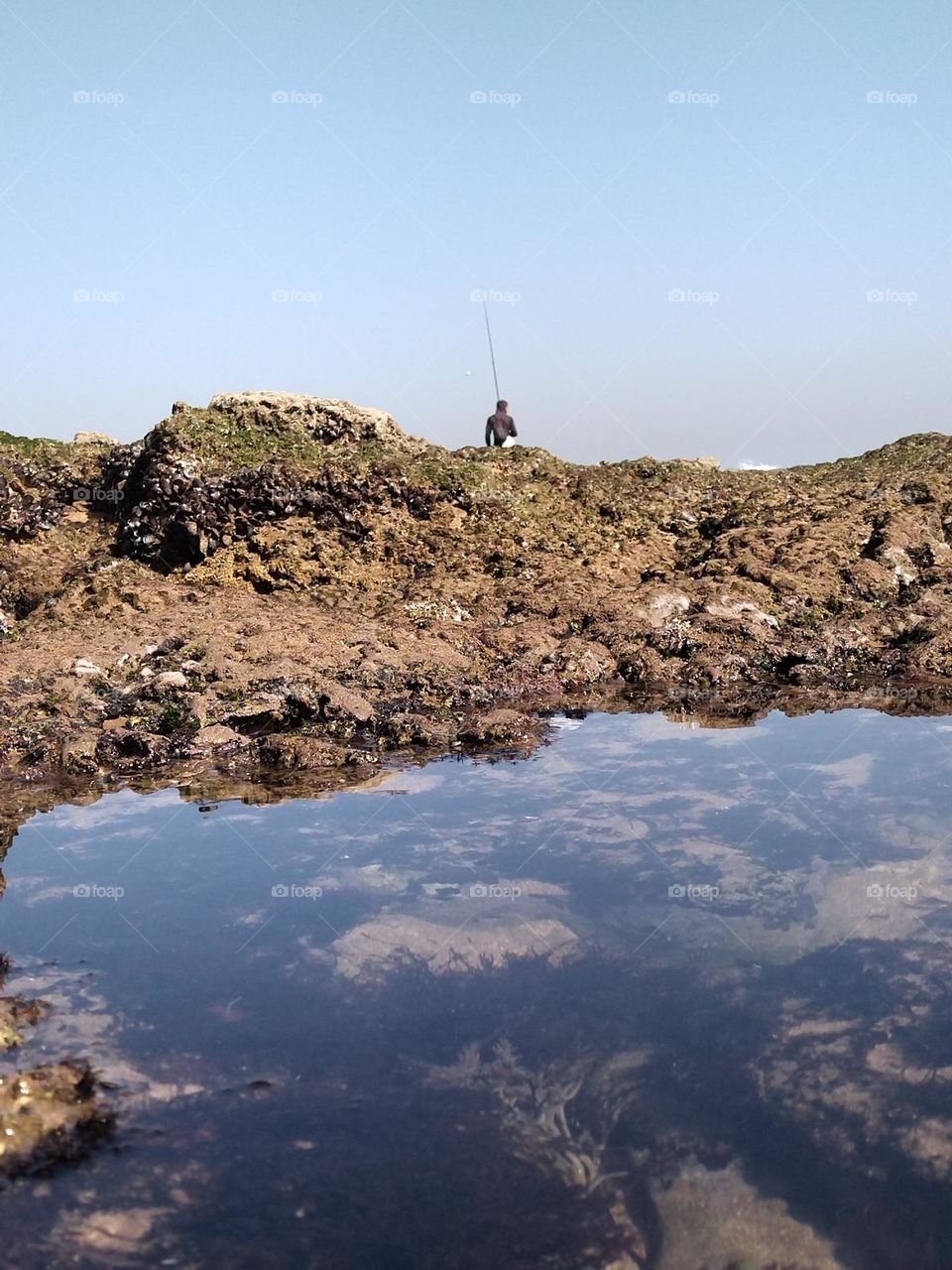 Fisherman on the rock