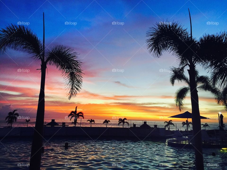 Silhouette of trees during sunset