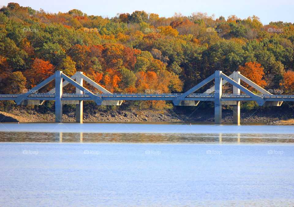 Autumn bridge 