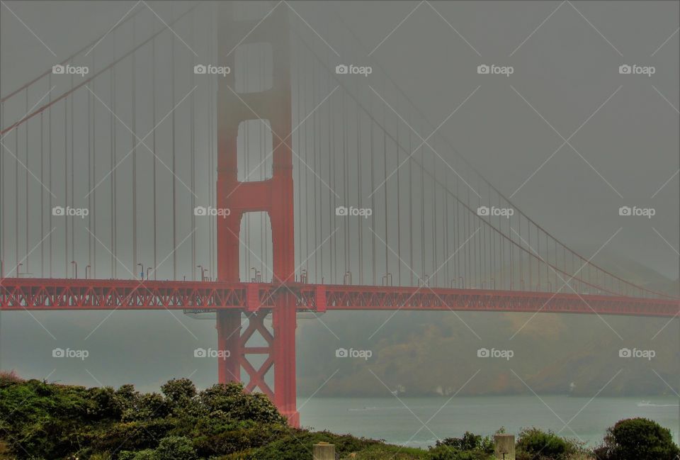 Bridge, Golden Gate Bridge