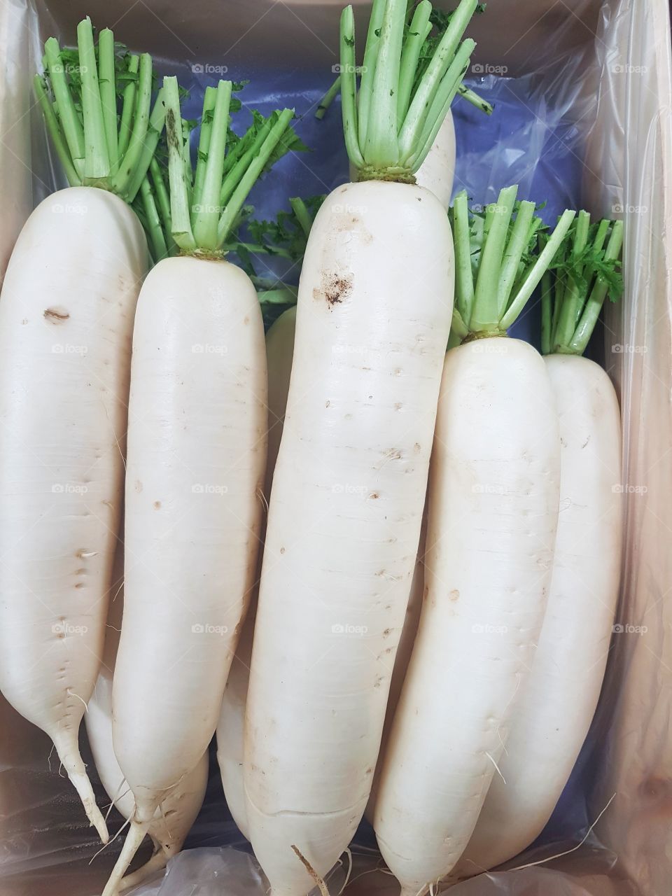 Fresh Fruit and Vegetables at market stall