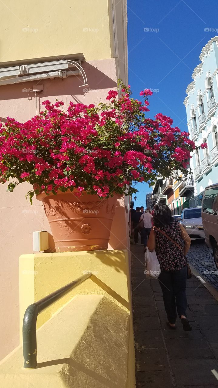 Old San Juan PR