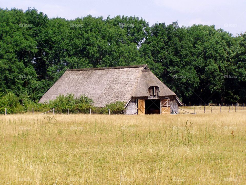 Heath hut