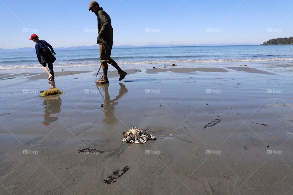 Sea life washed out on the sand during low tide and people passing by