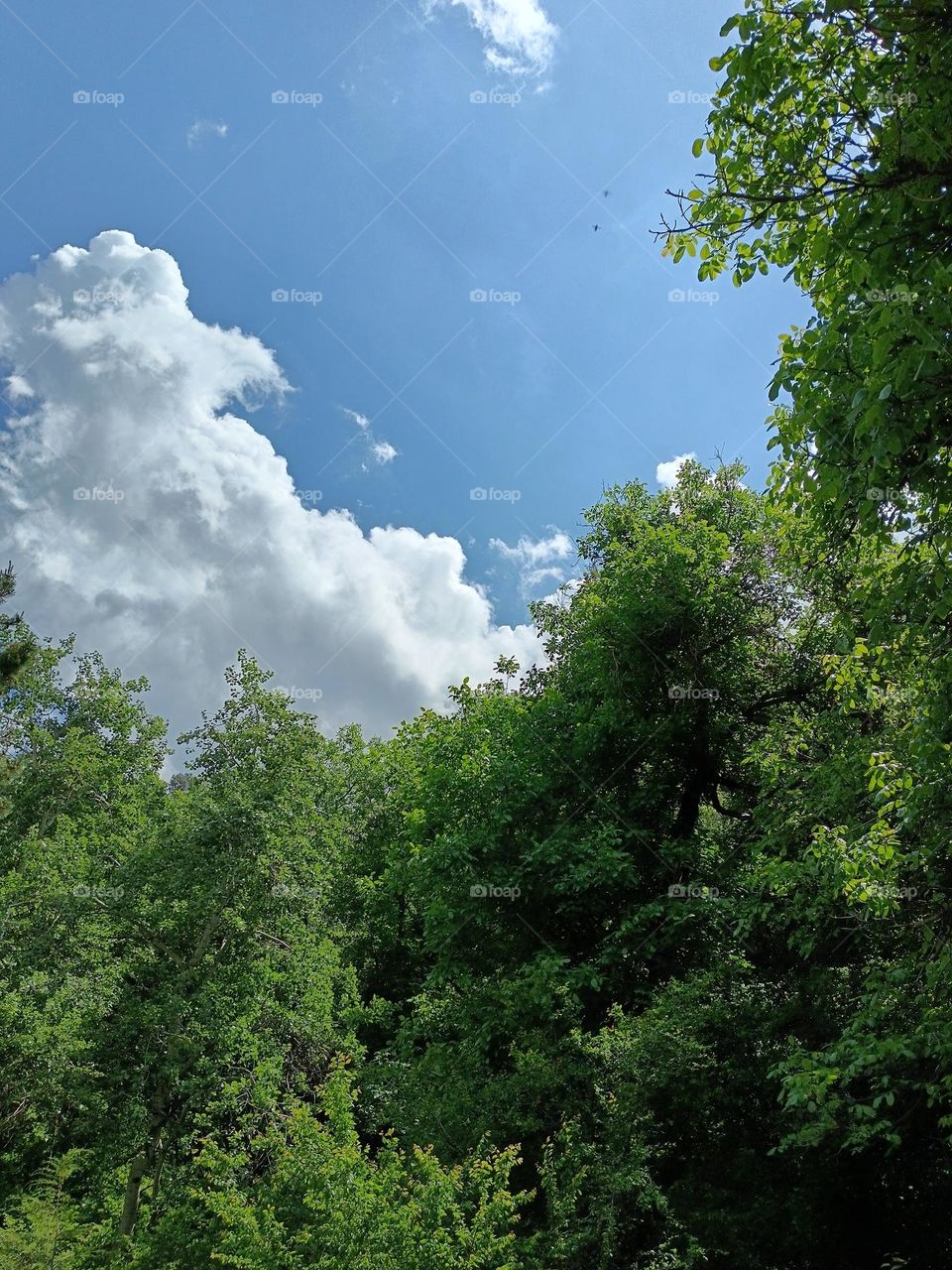 White cloud and blue sky