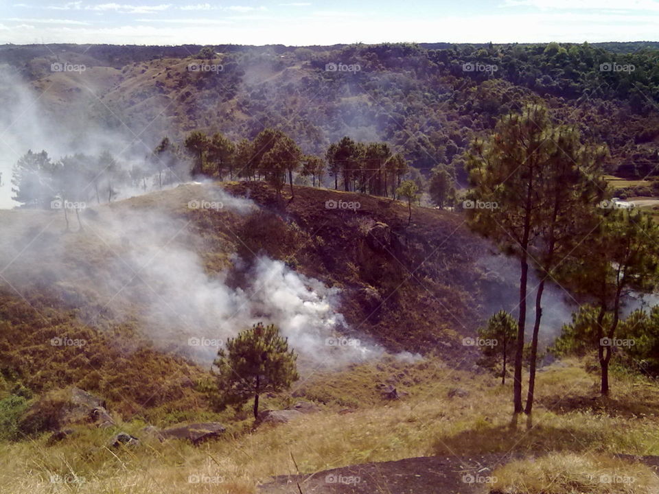 destroying our future....