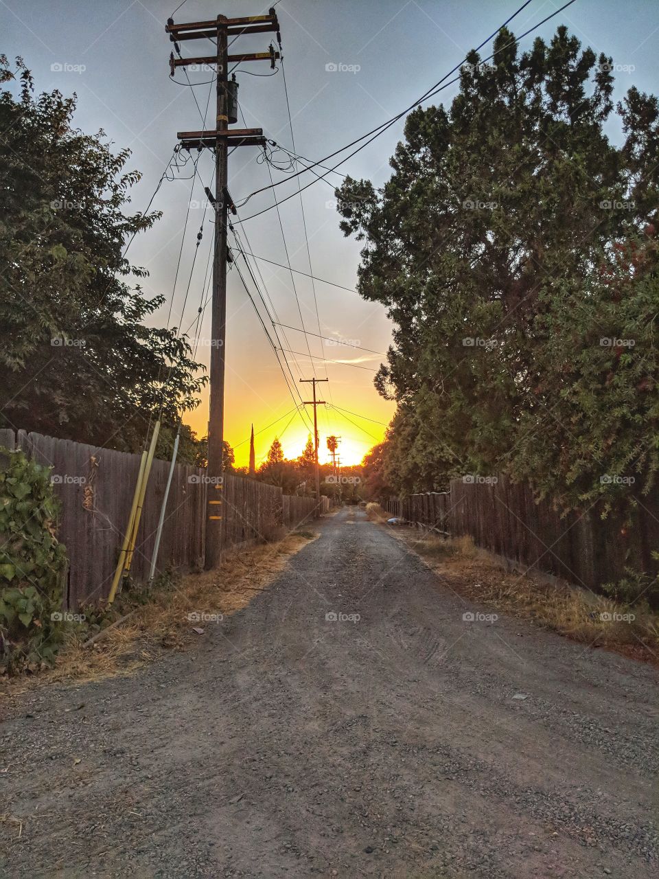 Neighborhood Alleyway