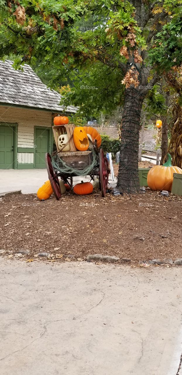 Pumpkin wagon for Halloween