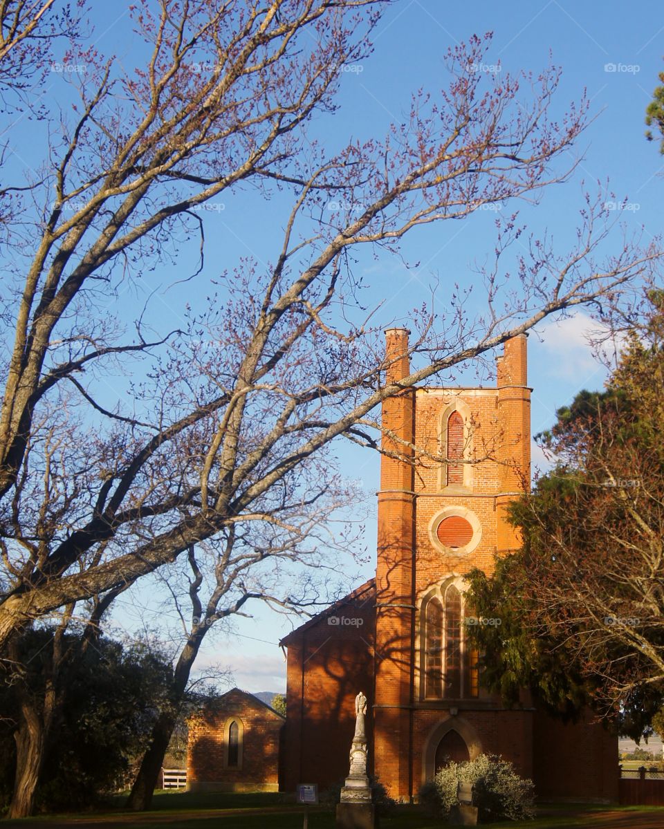Trees growing towards the church