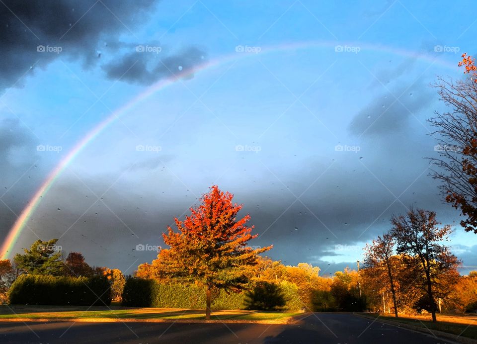 rainbow over trees with beautiful fall colors as the leaves change