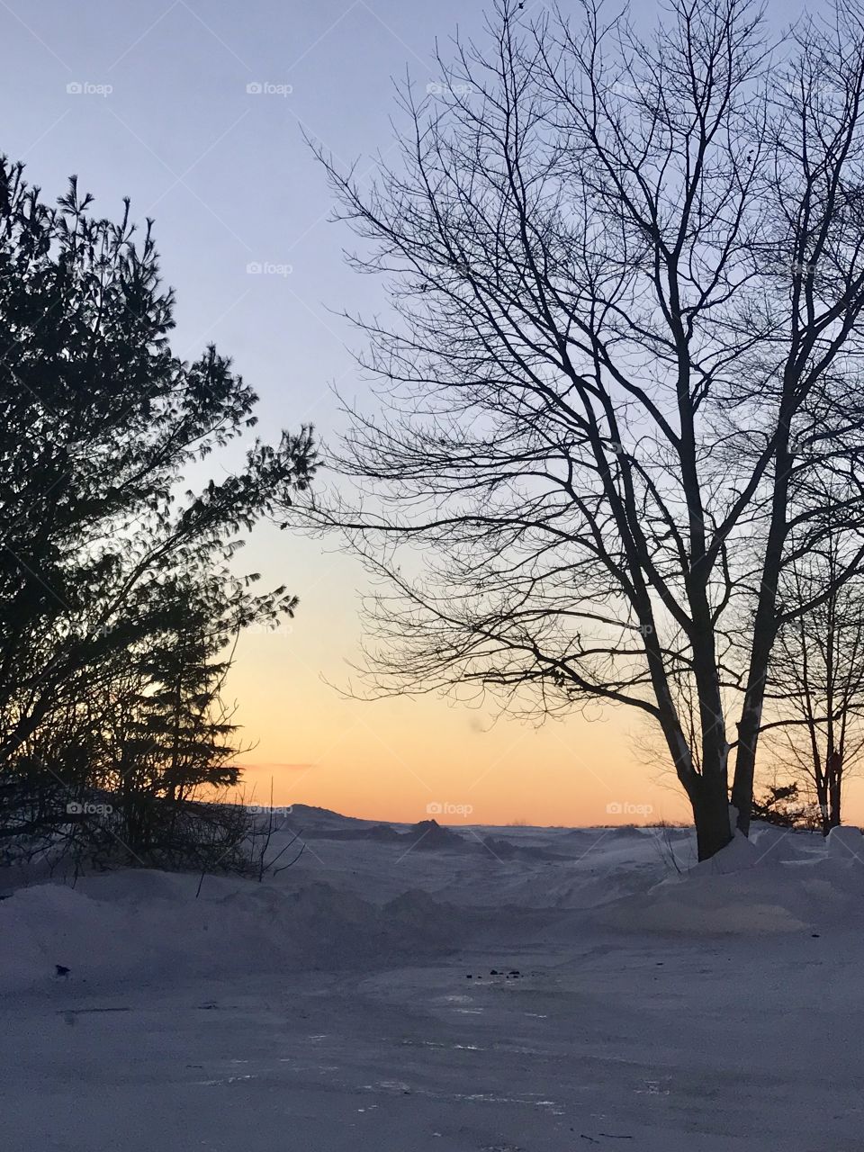 Sunset through snow