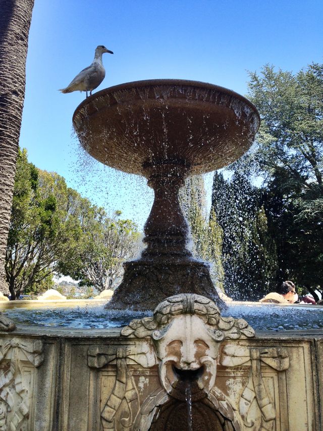 Fountain at vina Del Mar, Sausalito California

