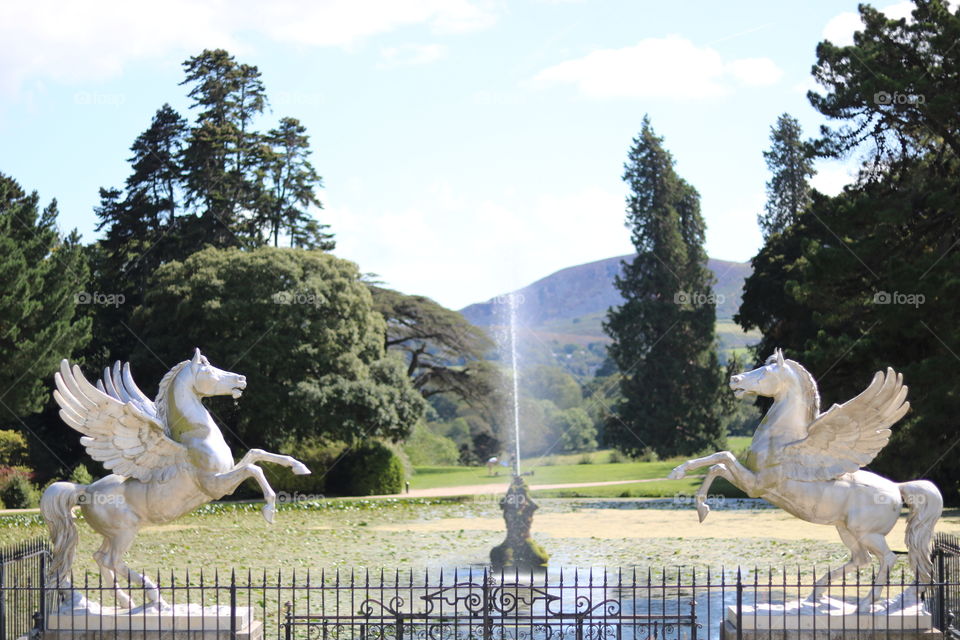 Powerscourt garden view, Ireland