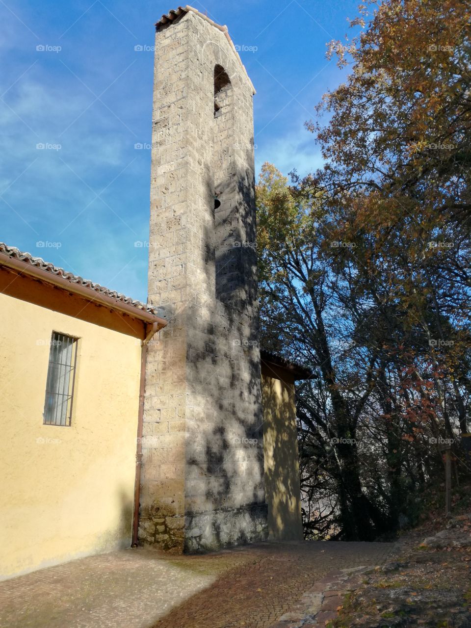 Shadows... from trees