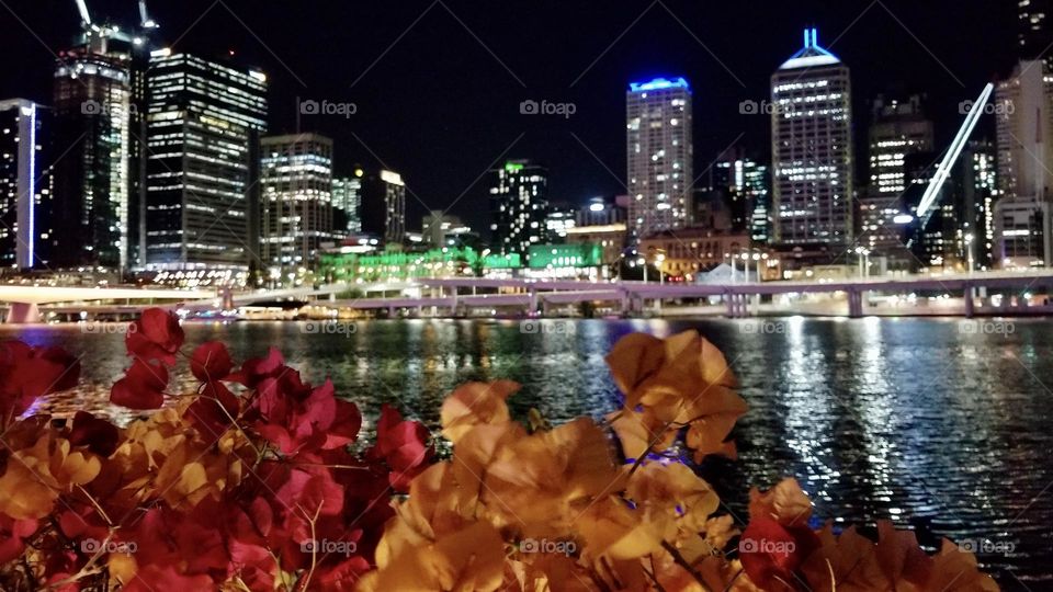 The nighttime Melbourne skyline is reflected onto water while flowers are illuminated in the foreground 