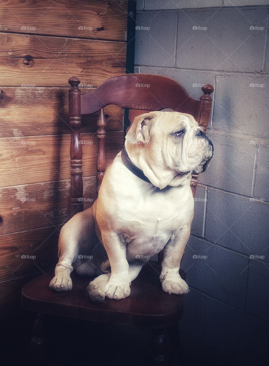 what's for dinner....