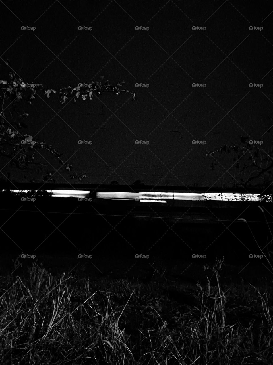 Train. Between shadows and lights, the journey goes on.