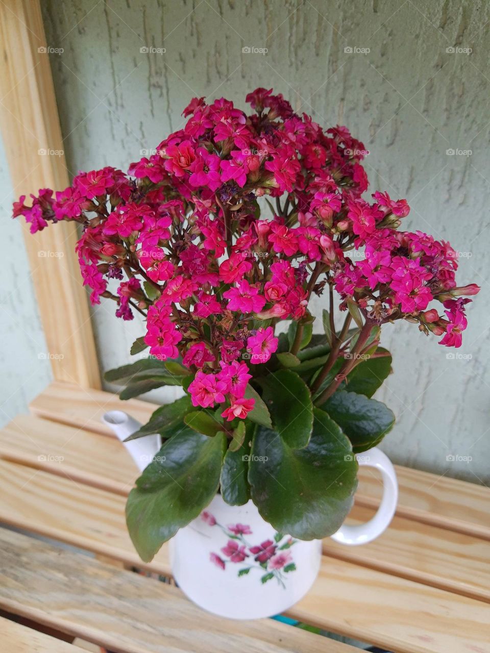 flowers planted in porcelain teapot
