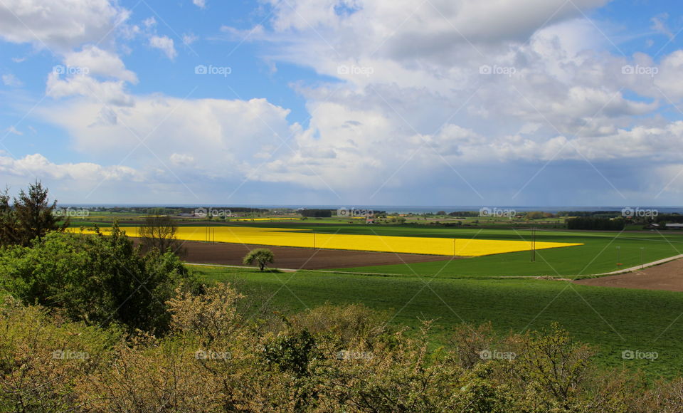 Landscape, Öland. Landscape, Öland