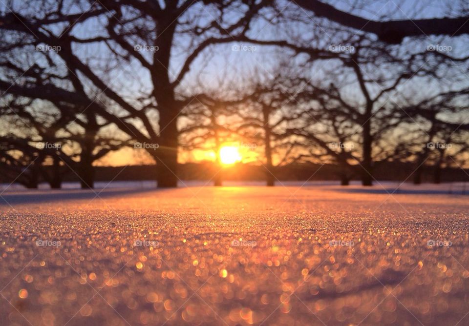 Pink sunset on the snow 