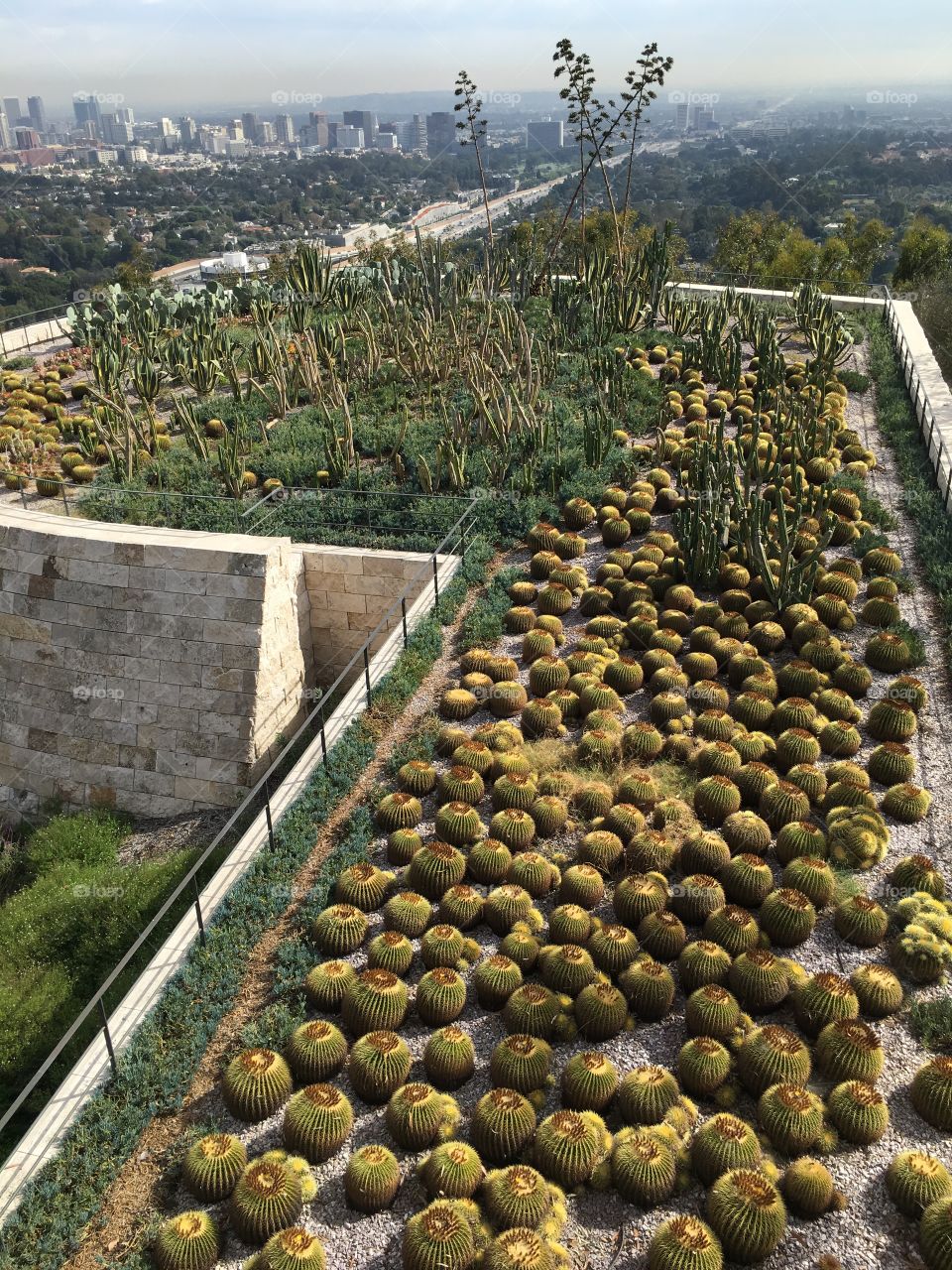 Little garden on top of a building 