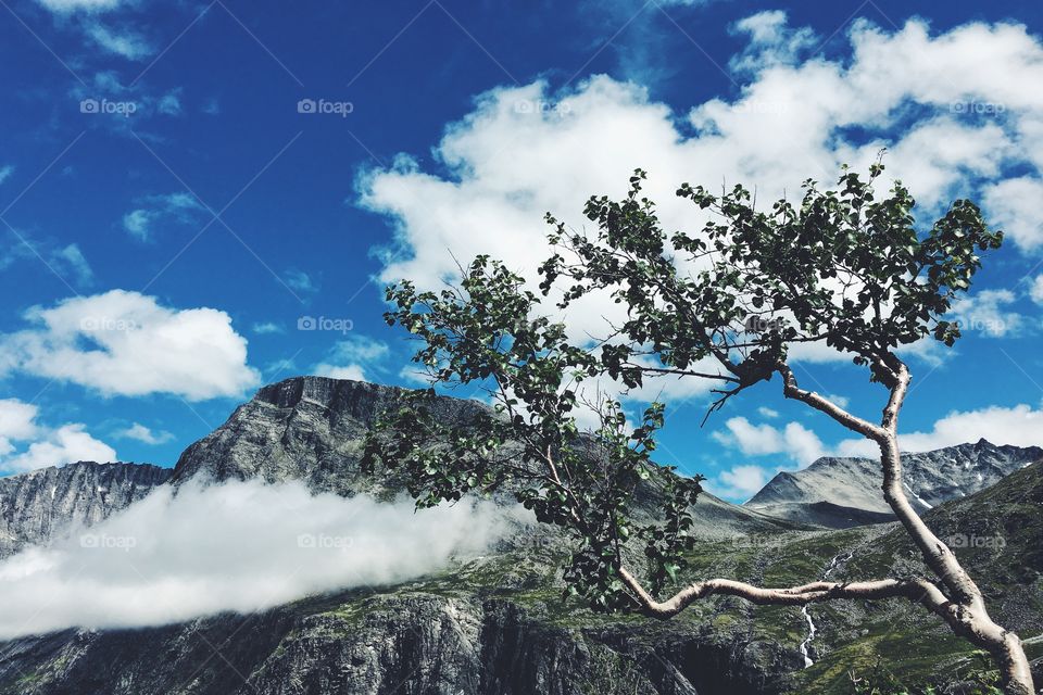 Landscape, No Person, Mountain, Sky, Travel