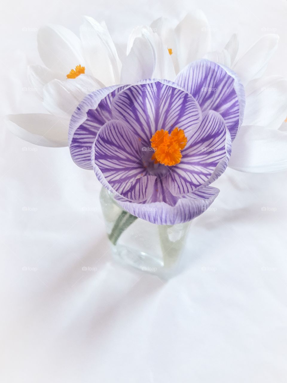 fresh cut flowers in a small vase