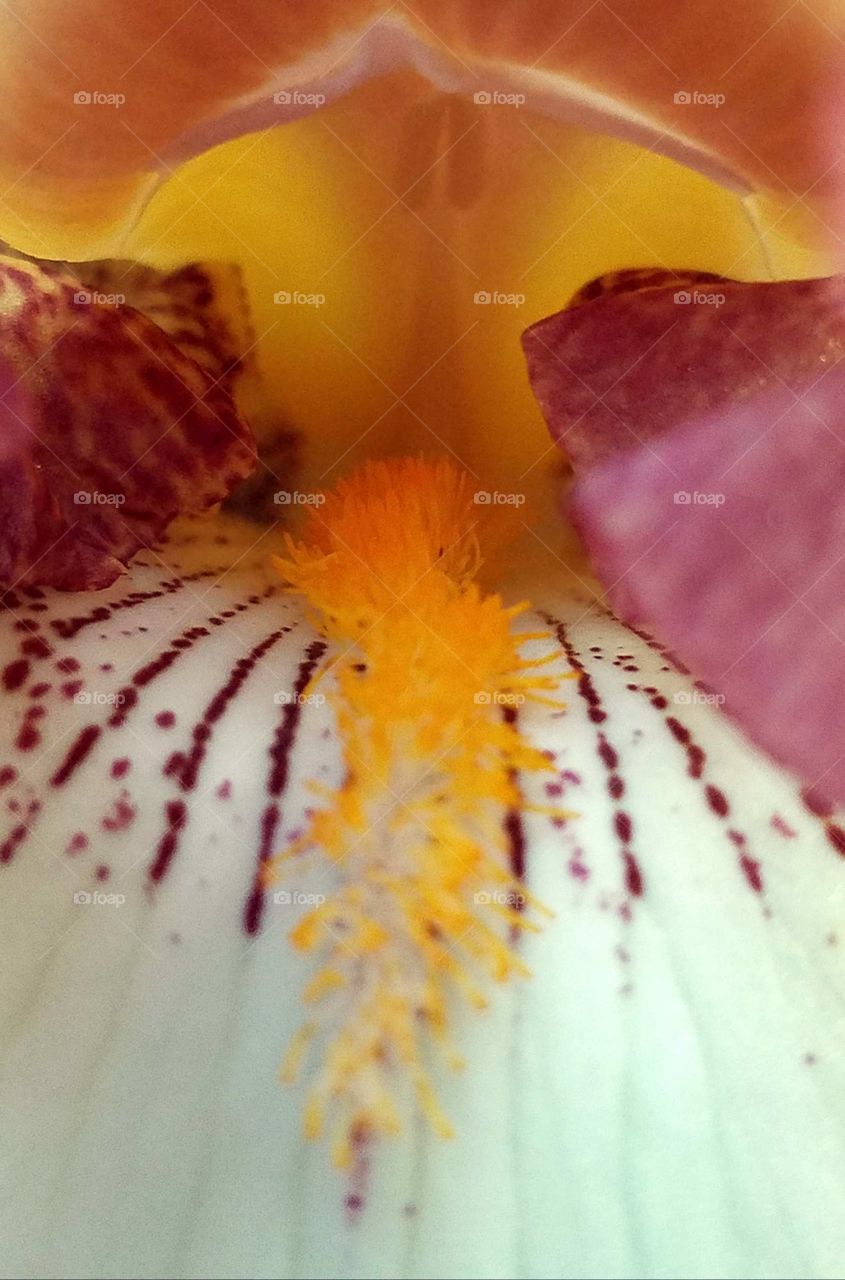 Creative Textures in One Photo