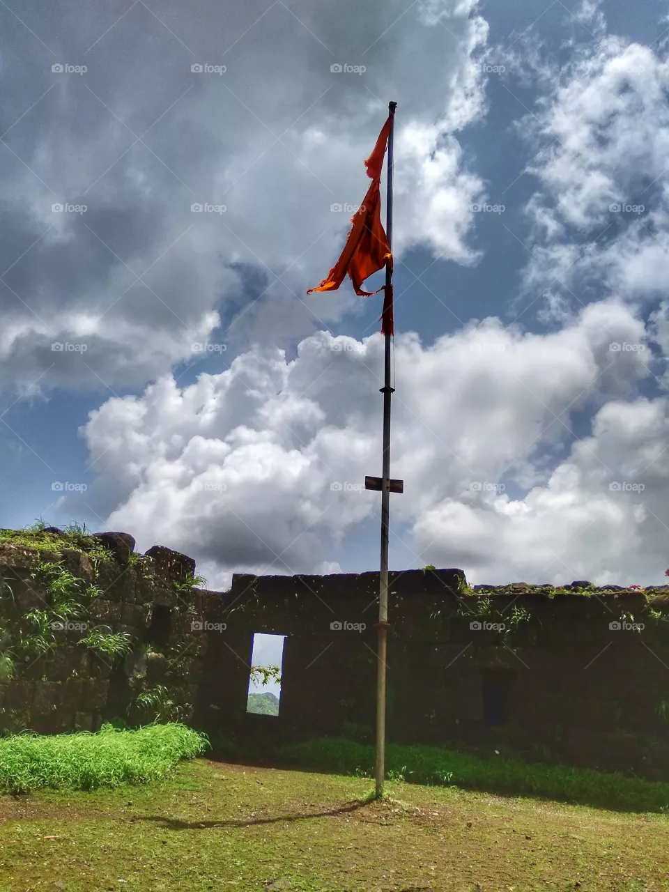 flag