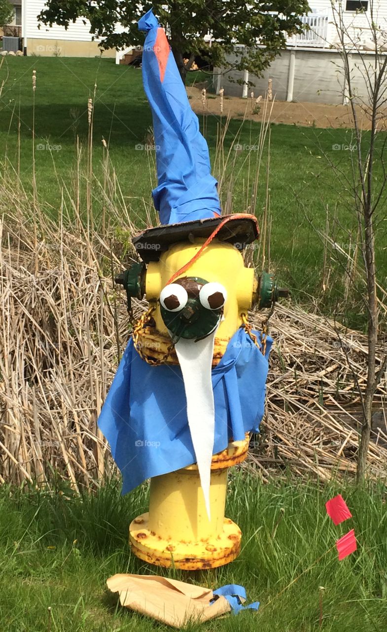The Minion fire hydrant lol. Saw this near the in laws when we first moved here.