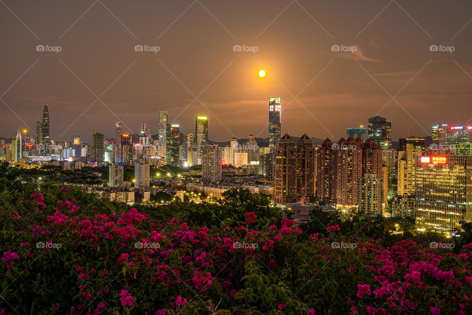 A view of a city from the top of the mountain.