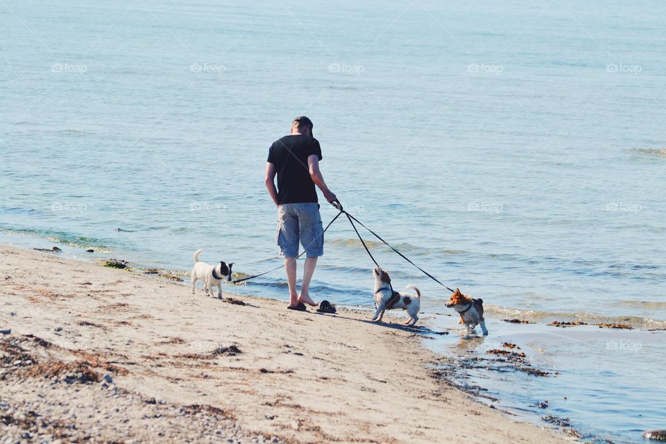 Water, Beach, Sea, Seashore, Leisure