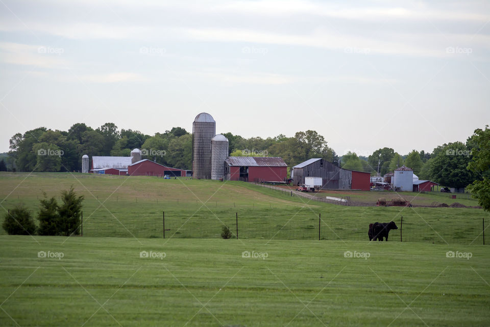 spring farm. getting ready to do the crops