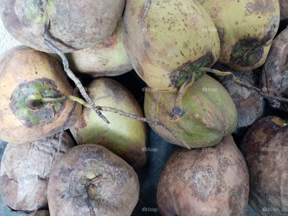 Coconut just after picking