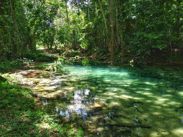 Tropical River Running through the Forest in Jamaica