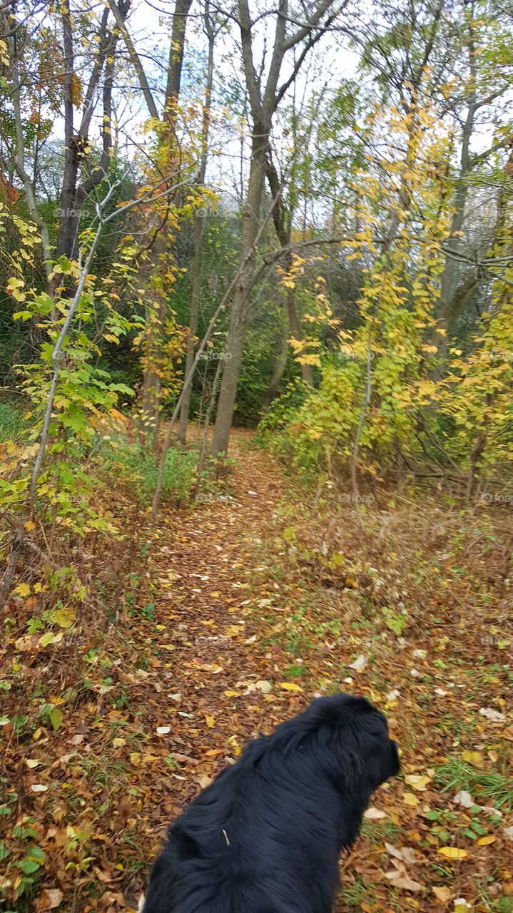 The Path least Taken