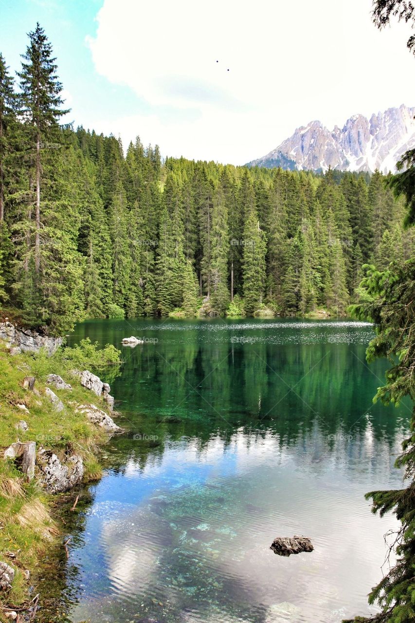 Scenic view of lake carezza against trees