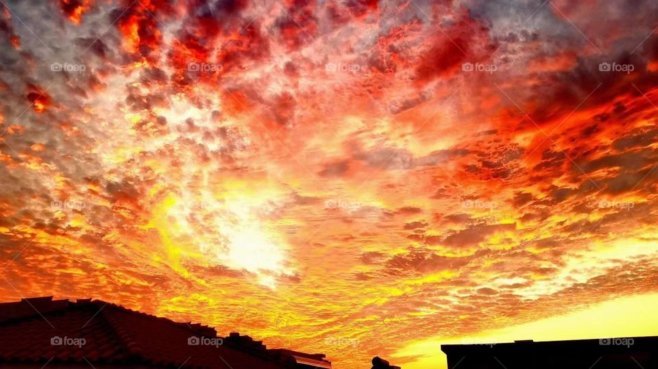 Sunset, sunset, scenery, nature