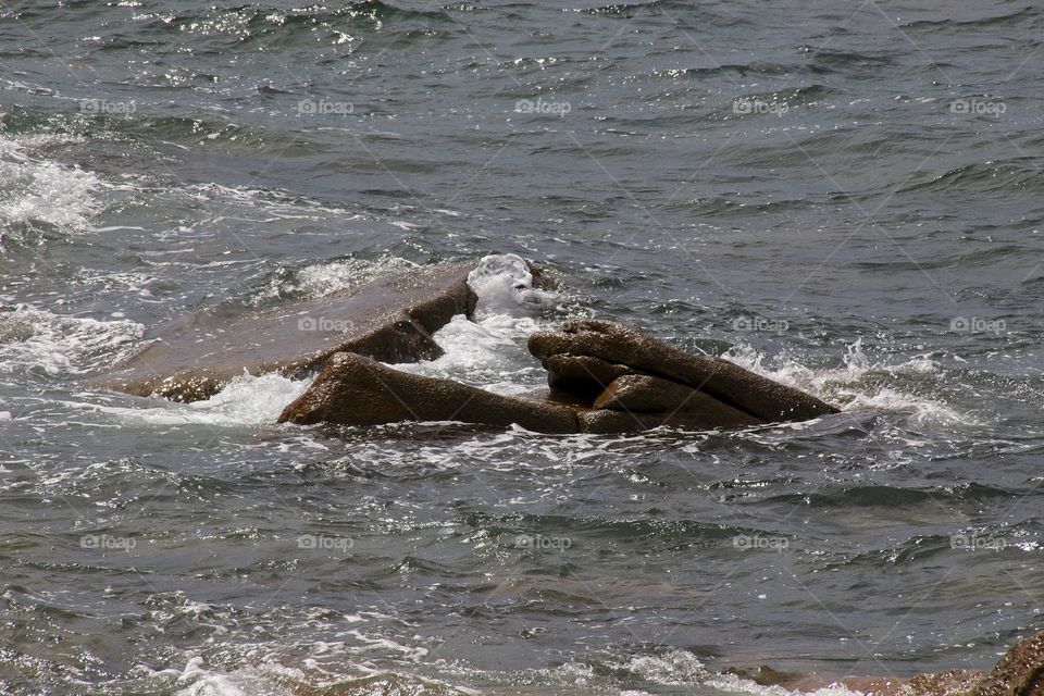 view of the coast of the sea